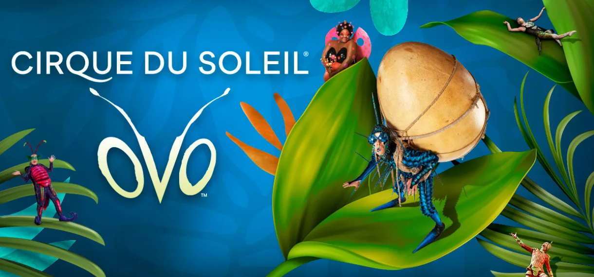OVO-HEADER-3ac297f6df