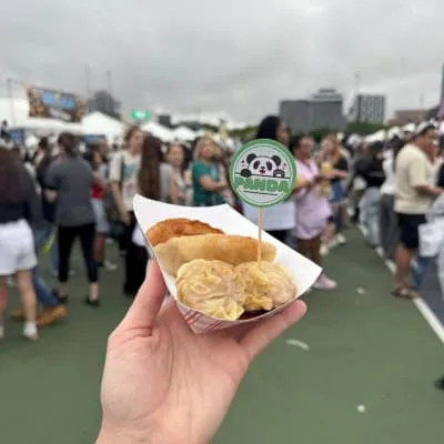 Panda Fest Atlanta